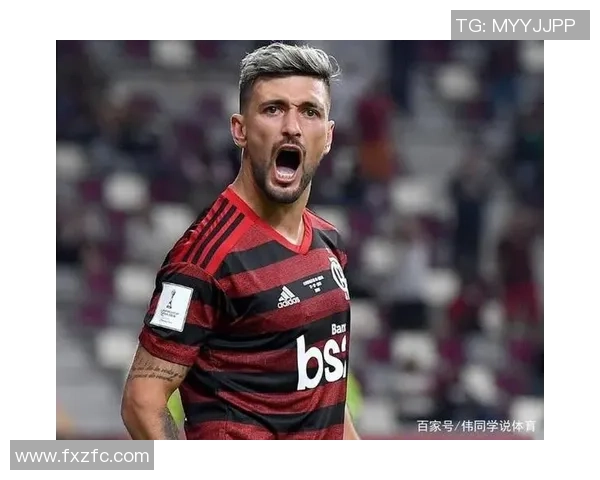 博塔弗戈主场迎战沙佩科恩思期待精彩对决与激烈竞争